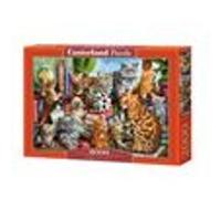 Castorland puzzle Maison des Chats 2000 pièces multicolore G