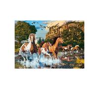 CASTORLAND Puzzle Pferdewunderland 1000 Teile