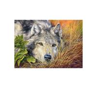 CASTORLAND Puzzle Pure Soul 500 pièces