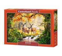 Castorland Royal Family Jeu de puzzle 1000 pièce(s) Fantaisie