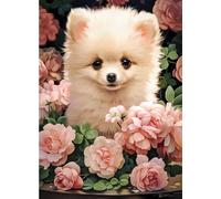 CASTORLAND Puzzle Six Pomeraniana en rangées de 60 pièces