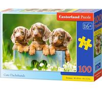 CASTORLAND Puzzle Teckel mignon 100 pièces