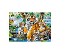 CASTORLAND Puzzle Tigers by the river 1000 pièces