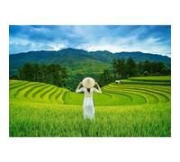 Castorland Rice Fields in Vietnam - Pièces