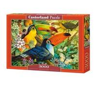 Castorland scie sauteuse Interlude 3000 pièces multicolore G