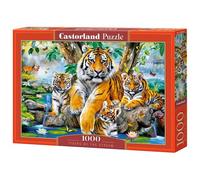 Castorland Tigers by the Stream 1000 pcs Jeu de puzzle 1000 pièces Animaux