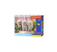 Castorland Trois chatons gris - 300 pièces