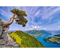 Castorland Vue du lac d'Uri, Suisse - Teile