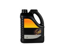 CASTROL 15DE6A Huile de pont