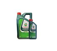 Castrol Magnatec 10W-40 A/B 1x1+1x5 =6 LITRES Huile Moteur VW 501 01/505 00