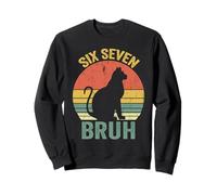 Cat 67 Bruh Meme Six Seven 6 7 Enfants Garçons Hommes Femmes Sweatshirt
