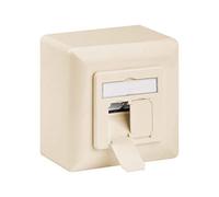 CAT 6a Boîtier Universel avec Cadre de Montage en Saillie, Beige