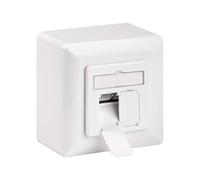 CAT 6a Boîtier Universel avec Cadre de Montage en Saillie, Blanc