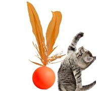 Cat Ball Toys - Bouncing Mord Toy, Play Ball À Plumes | Boule De En Caoutchouc Élastique Robuste, Parfait Comme Un Jouet Éducatif Interactif Pour Soutenir Le Jeu Et L'exercice Avec Des Chats De