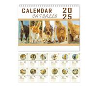 Cat Balls Calendar, Funny Cat Calendar, Cat Butthole Calendar, 2025 Cat Calendar, Cat Lover Calendar, 12-Month Calendar with Notes Space Hilarious Design for Kids Adults