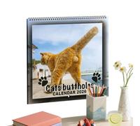 Cat Calendar - Funny Cat Wall Calendar | Cats Doing Yoga 2026, In Beautiful Places | 12-Month Wall Calendars, Large 12 Month, Months To View With Notes & Checklist Pages, UK Made By Our World