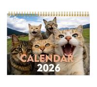 Cat Calendar, Playful Monthly Planner, 2027 Wall Display for Home | Hangable Daily Organizer, Cute Feline Artwork for Office School Classroom Family Dorm Planning Teacher