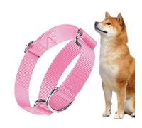 Cat Collar - Adjustable Pet Safety Neck Strap | Nylon Webbing with Breakaway Buckle, Bell Tag Attachment Design, Lightweight Cat Accessory for Identification Walking Indoor Outdoor Use