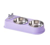 Cat Dish, Dog Feeding Bowl, Pet Food and Water Container for Small Pets, Kittens, Puppies, Cage, Living Room, Or Kitchen, 12.8x5.31x2.36 inches, PP and Stainless Steel