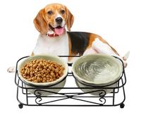 Cat Dish with Stand - Ceramic Pet Bowl for Small Dogs Puppies Kittens | Elevated Food and Water Feeder, Non-Slip Base, Easy Clean Ceramic Feeding Station for Indoor Outdoor Use, Stylish Pet Supplies