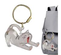 Cat Hair Key Chain- | Dog Hair Keyring, Clear Acrylic Memorial Pendant Keychain, Keepsake Accessory For Men, Women, Backpacks, Bags, Purses, And Pet Lovers, Collectible Charm For Remembrance