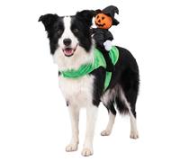 Cat Halloween Costumes - Novelty Pet Cosplay Dressing Up Outfits