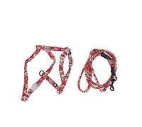 Cat Harness and Leash Set | Adjustable Escape - Proof Vest for Walking | Comfortable & Breathable Mesh Padding | Reflective Straps for Security (M.)