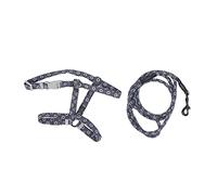 Cat Harness and Leash Set | Adjustable Escape - Proof Vest for Walking | Comfortable & Breathable Mesh Padding | Reflective Straps for Security (S)