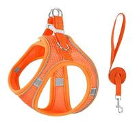Cat Harness,Cat Adjustable Soft Mesh Vest Harness,Side-Through No-Pull Design,Escape Proof Outdoor Cat Leash,Easy to Wear for Walking & Outdoor (Orange, S(Neck Circumference 36-44cm))