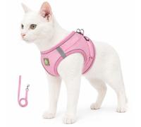 Cat Harness for Cats and Leash Set Escape Proof Adjustable Soft Mesh Walking Vest for Small Medium Cats Outdoor Walking Training Travel (Pink,XL)