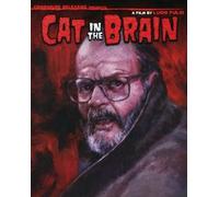 Cat In The Brain