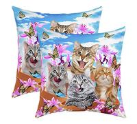 Cat Lot De 2 Taie d'oreiller 55x55cm Soft PlaceBleu Cute Papillons Housse Coussin Maison Taie Oreiller Botanique Fleurs Fleurss Jours Bleu Housse de Coussin Pour Canapé Le Salon Chambre Chaise de lit