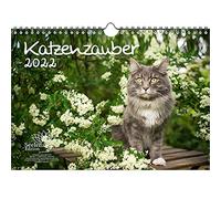 Cat Magic Calendrier Din A4 pour Chats et Chats Bébés 2022