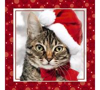 Cat Me To You Carte de Nol holographique 3D Motif chat