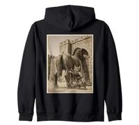 Cat Meme Funny Cat Lover Meme History Humour Cat Graphic Sweat à Capuche