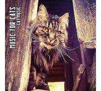 Cat Music