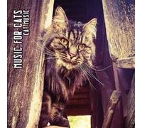 Cat Music Édition Limitée