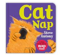Cat Nap: A First Book About Naptime