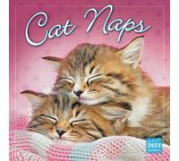 Cat Naps 2023 Calendar