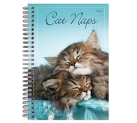 Cat Naps Agenda hebdomadaire et mensuel 2026, calendrier de fiançailles sur 12 mois : 2026