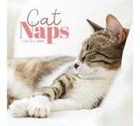 Cat Naps Square Mini Calendar 2026