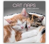 Cat Naps - Träumende Katzen 2025 - 12-Monatskalender: Original Gifted Stationery-Kalender [Mehrsprachig] [Kalender]