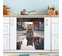 Cat on Street Aimants pour lave-vaisselle Couvertures pour la façade magnétique Décor magnétique 58,4 x 66 cm