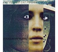 CAT POWER - WHAT WOULD THE COMMUNITY THINK VINYL LP NEUF