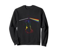 Cat Rainbow Light Cool Prism Science Spectral Men Women Kids Sweatshirt