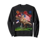 Cat Riding Dinosaur T Rex USA Patriotic Flag 4th of July Sweatshirt