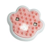 Cat Steamer Brush - 3 In 1 Steamy Cat Grooming Brush, Spray & Massage Cat Brush | -Cleaning Hair Remover, Pet Grooming Tool For Cats And Dogs, Detangler For Short Hair Pets