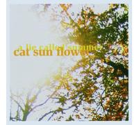 Cat Sun Flower - A Lie Called Summer [Import]