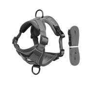 Cat Towing Rope Safety Belt, Cat Escape Safety Belt, Vest Style Reflective Pet Chest Harness Anti Slip (Gray M)