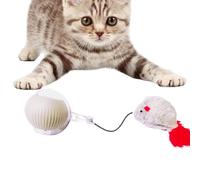 Cat Toy - Interactive Cat Toy | Automatic Cat Toy | Interactive Cat Toys Ball | Automatic Rolling Ball | Intelligent Cat Toys With Led Lights | Rechargeable Smart Teasing Cat Ball For Kittens